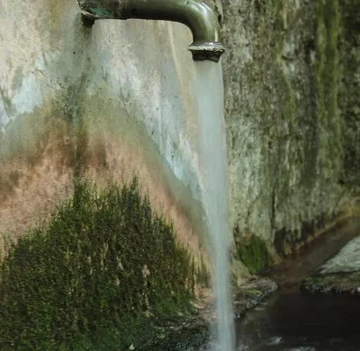 Caterina Βίλα Perledo